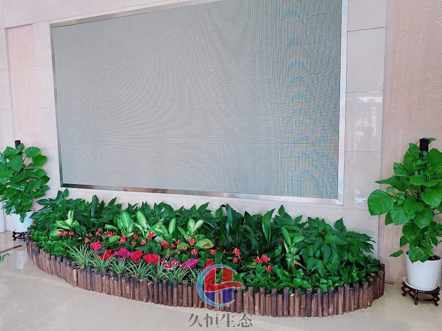 椒江企业大厅显示屏组合花卉绿植摆放