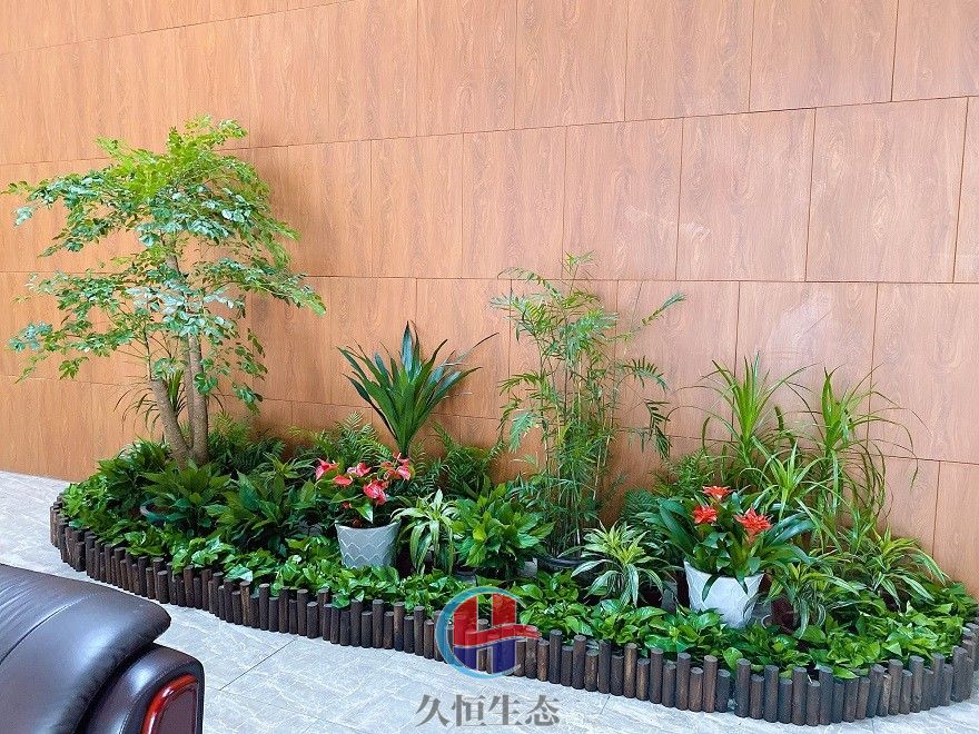 椒江大厅多个花卉品种造景3